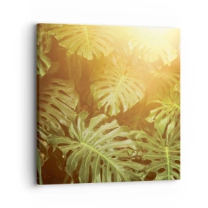 Canvastavla - Bild på duk - Beträda grönskan... - 30x30 cm