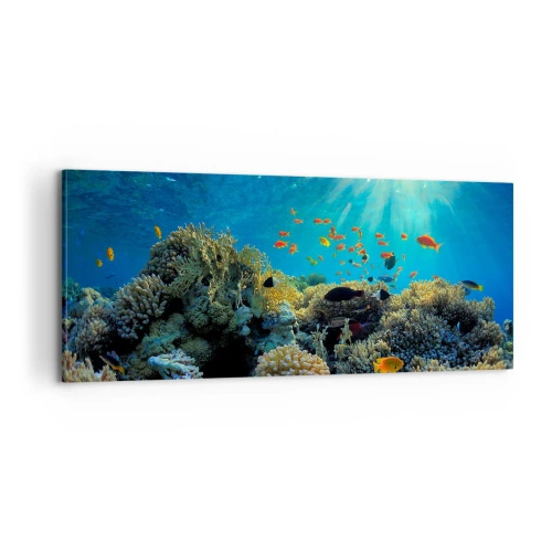 Canvastavla - Bild på duk - Undervatenskatter - 100x40 cm