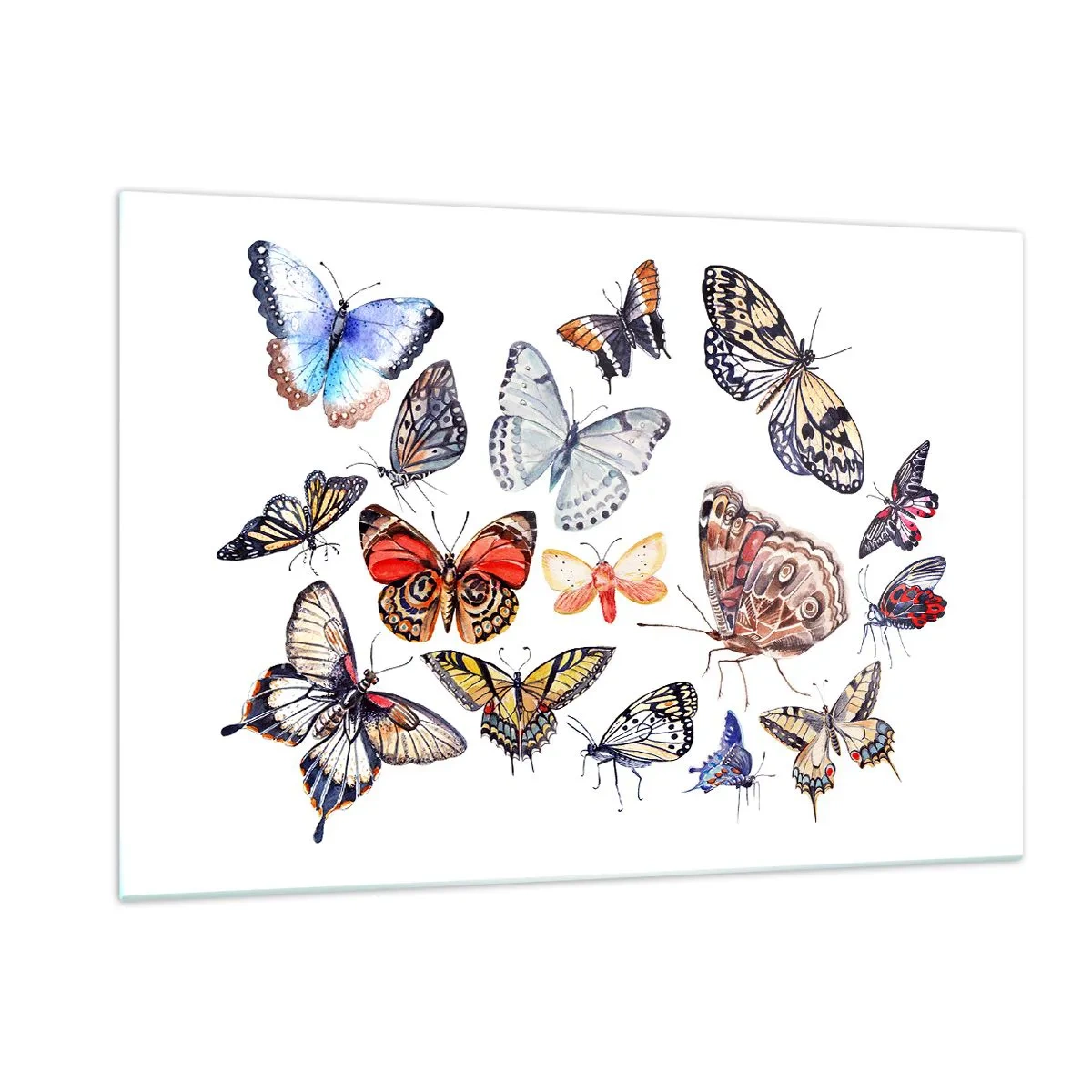 Glastavla - Bild på glas - Färgglada fjärilar - 120x80 cm