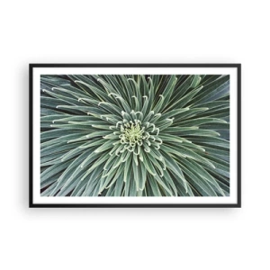 Affisch i svart ram - Stjärna föds - 91x61 cm