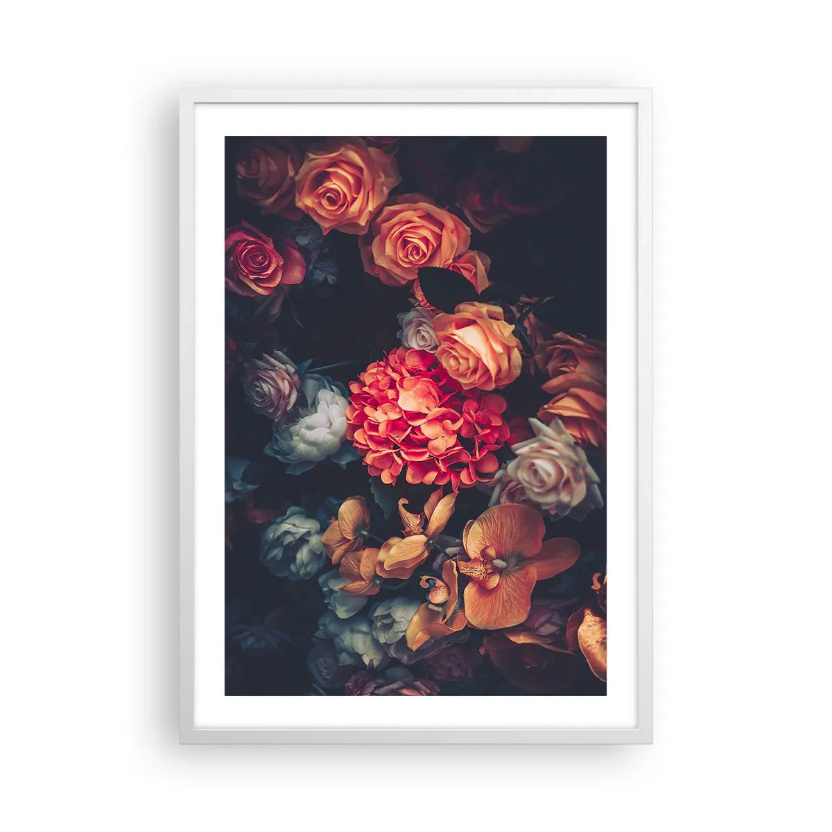 Affisch i vit ram - Som hos de holländska mästarna - 50x70 cm