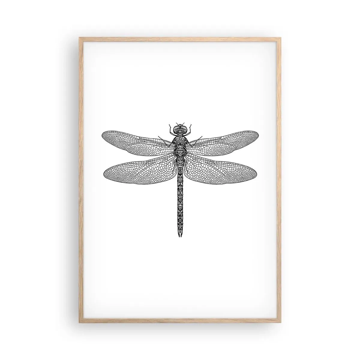 Affisch i ram av ljusek - Precision i naturen - 70x100 cm