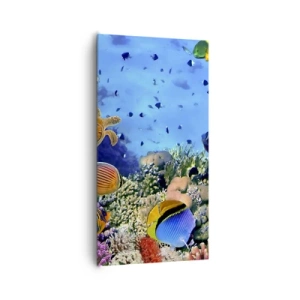 Canvastavla - Bild på duk - Vad vet vi om livet... - 65x120 cm