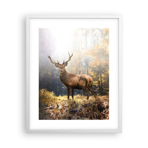 Affisch i vit ram - I fullt majestät - 40x50 cm