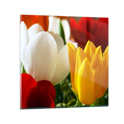 Glastavla - Bild på glas - Tulpanfeber - 60x60 cm