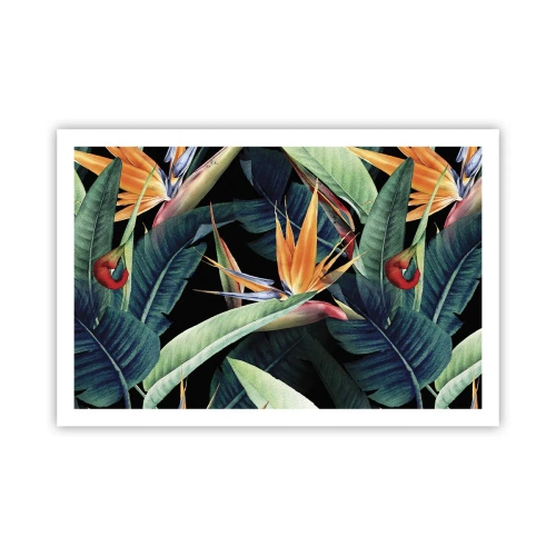 Affisch - Tropikens brinnande blommor - 91x61 cm