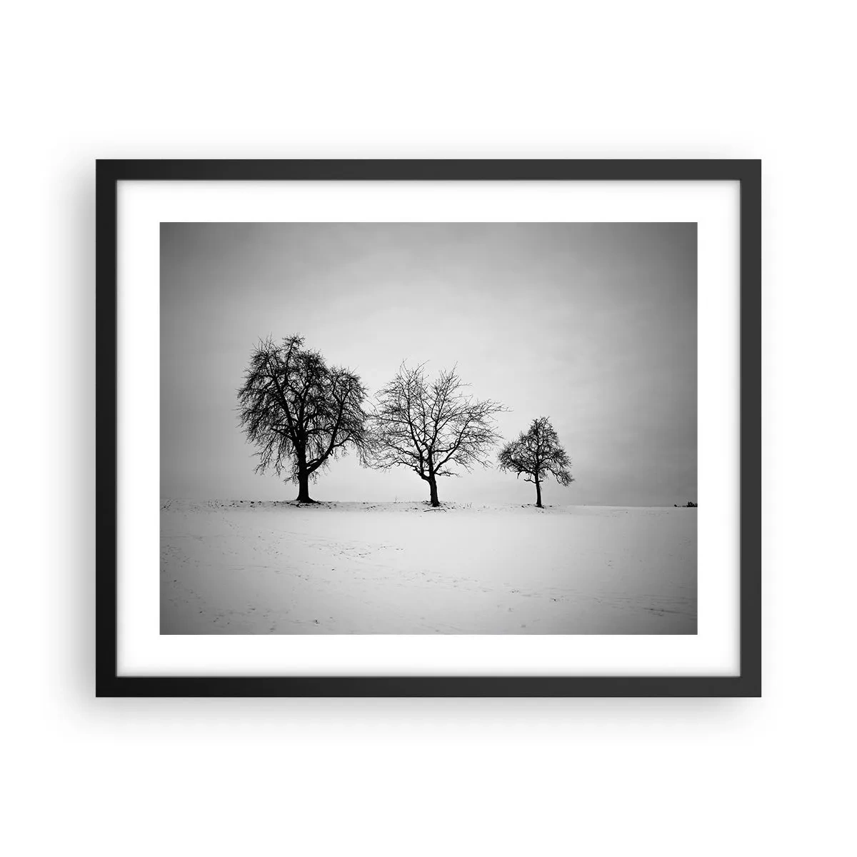 Affisch i svart ram - Vad drömmer de om? - 50x40 cm