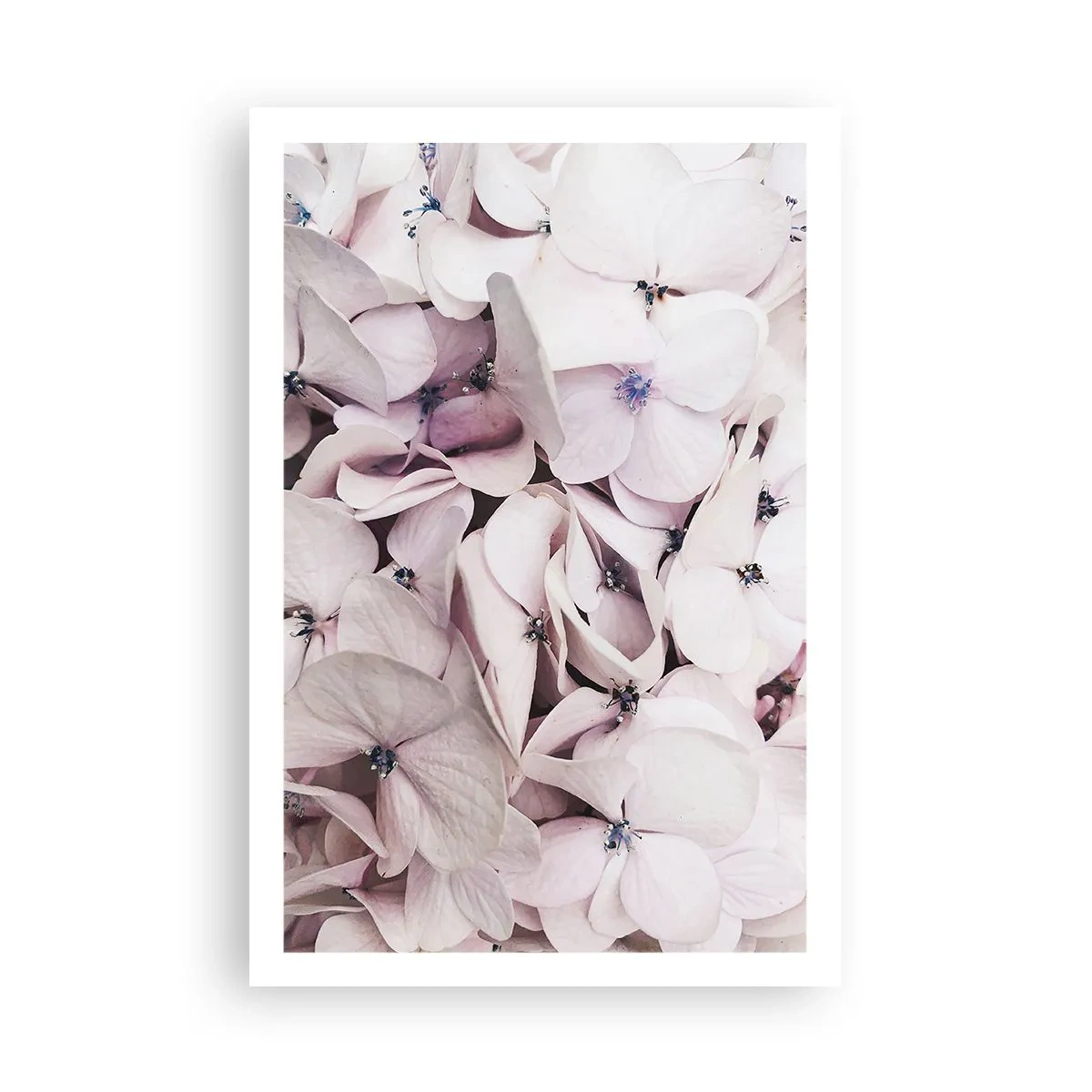 Affisch - I en flod av blommor - 61x91 cm