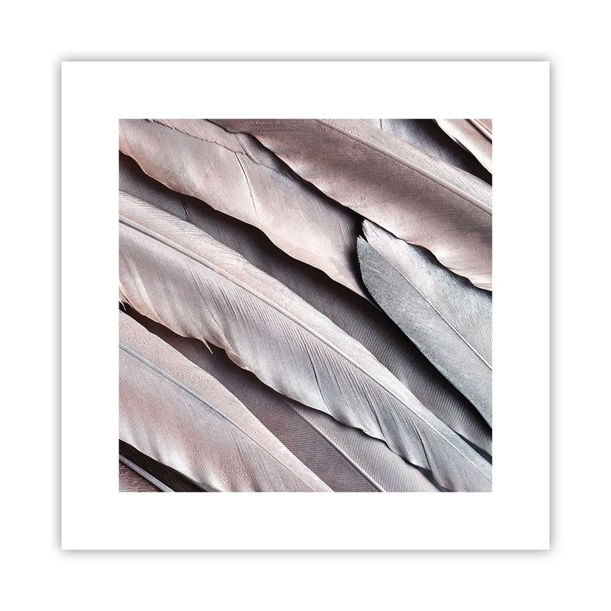 Affisch - I rosa silver - 30x30 cm