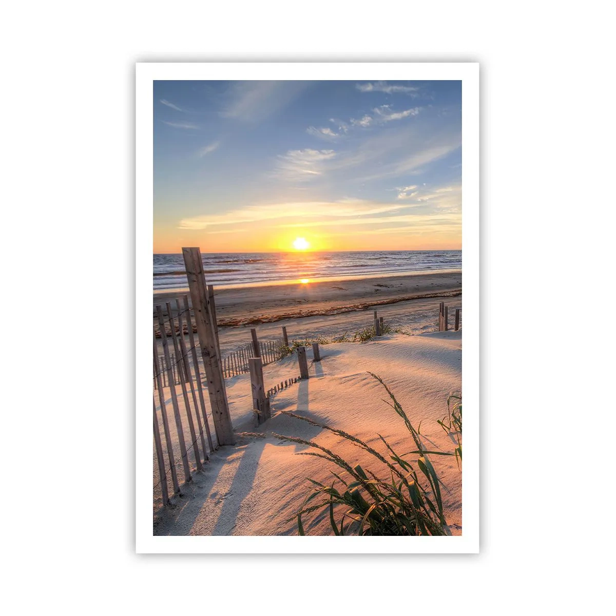 Affisch - Vindens sken och skugga - 70x100 cm