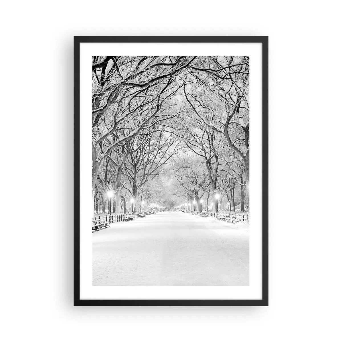 Affisch i svart ram - En vinterallé av träd täckta med snö i parken - 50x70cm - De fyra årstiderna - vinter - Modern väggdekoration för vardagsrum och sovrum ARTTOR