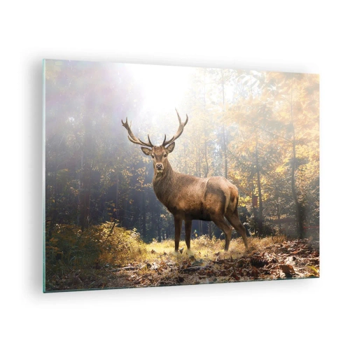 Glastavla - Bild på glas - En ståtlig hjort i en solbelyst höstskog - 70x50cm - I fullt majestät - Modern väggdekoration för vardagsrum och sovrum ARTTOR