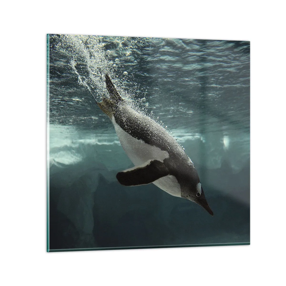 Glastavla - Bild på glas - Välkommen till min värld - 70x70 cm