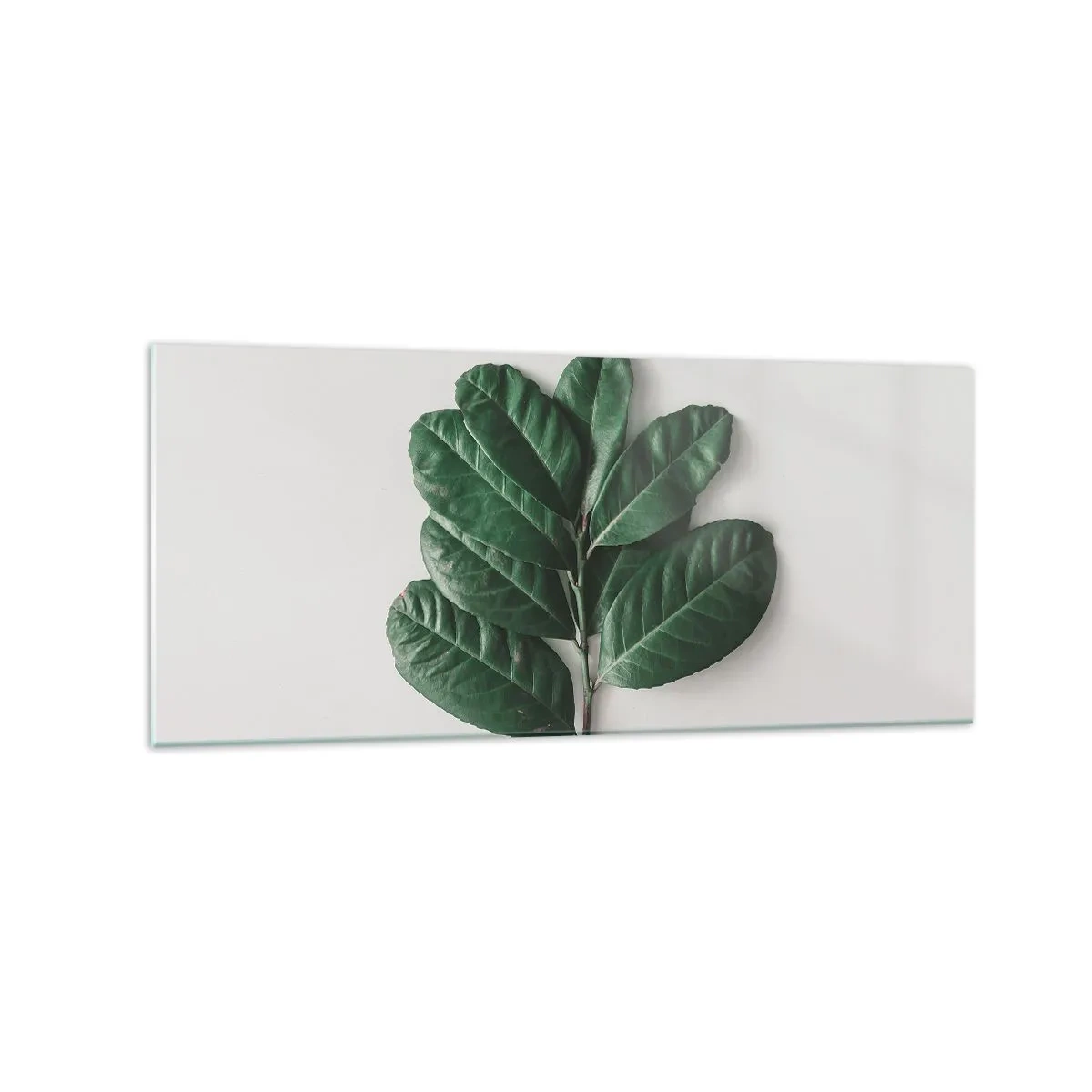Glastavla - Bild på glas - Själva naturens bild - 120x50 cm