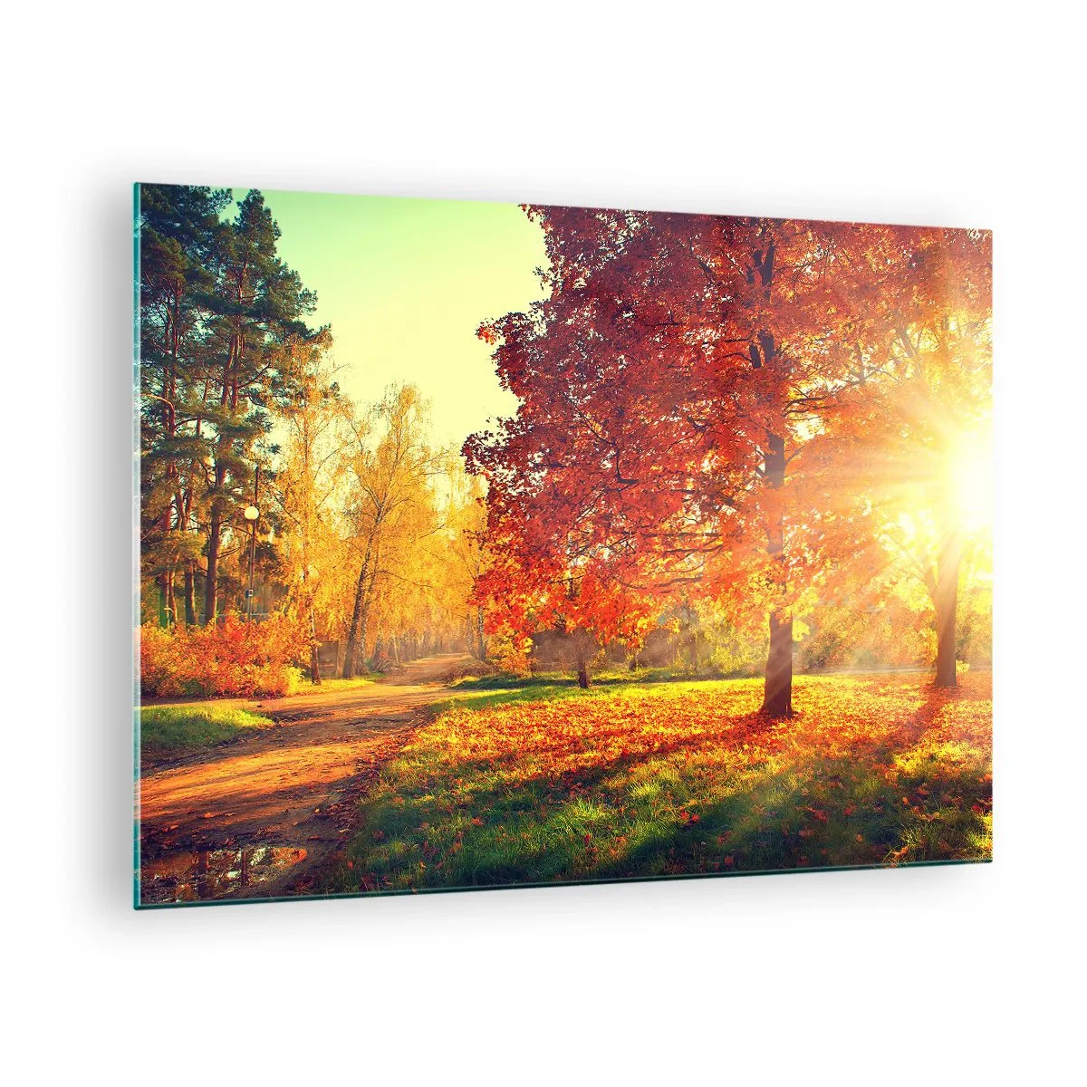 Glastavla - Bild på glas - Höstgränd med solstrålar - 70x50cm - Rött är vackert - Modern väggdekoration för vardagsrum och sovrum ARTTOR