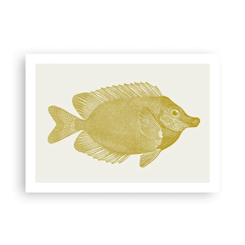 Affisch - Fisk och det är allt - 70x50 cm