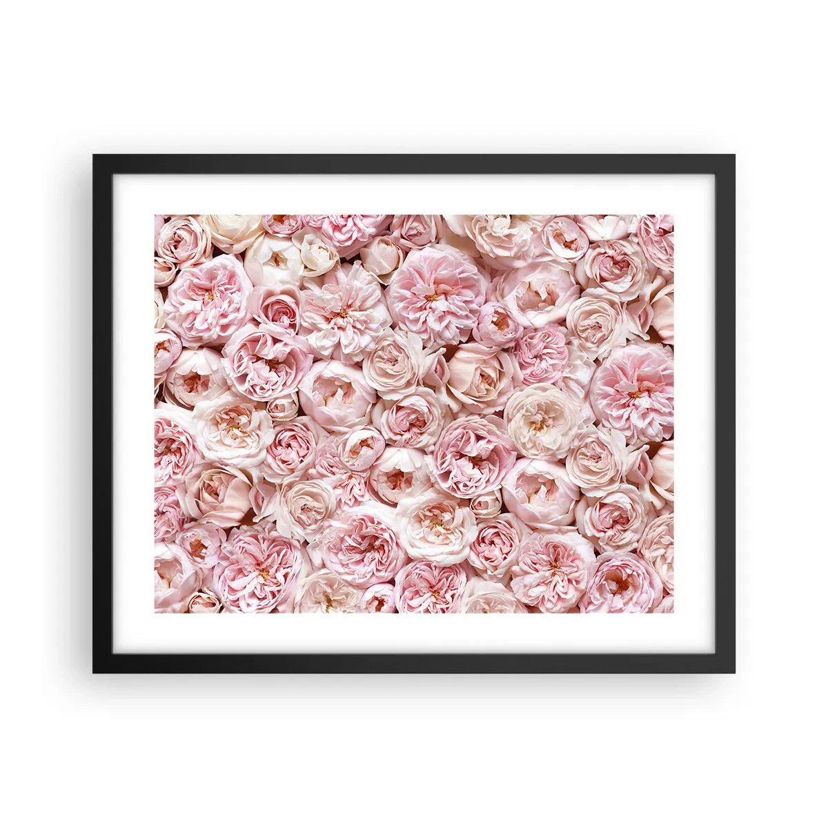 Affisch i svart ram - Strödd med rosor - 50x40 cm