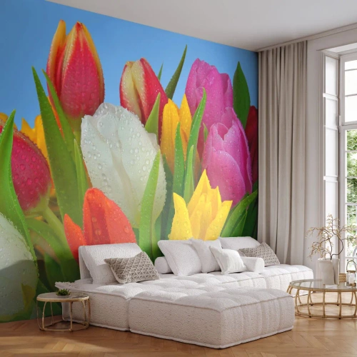 Fototapet Premium Sand - blommig regnbåge i daggdroppar - Tulpaner, Blommor, Blombukett - 200x140 cm