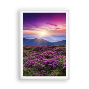 Affisch i vit ram - Doftande örter - 70x100 cm