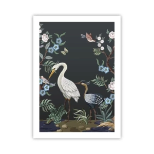 Affisch - Fågelparad - 50x70 cm