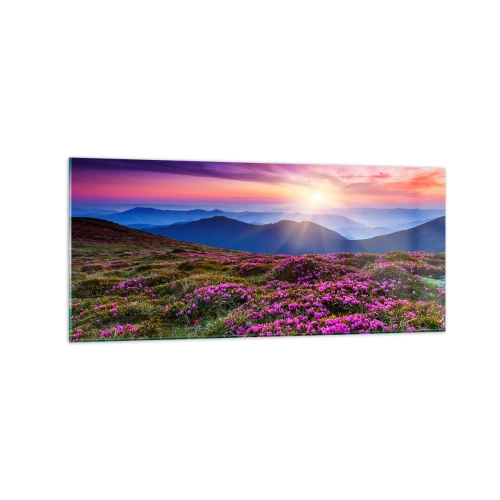 Glastavla - Bild på glas - Doftande örter - 120x50 cm