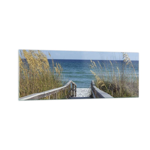 Glastavla - Bild på glas - I solen, i vinden - 140x50 cm