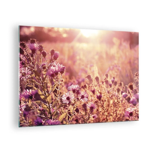 Glastavla - Bild på glas - Lila blommor på ängen i ljuset av den nedgående solen - 70x50cm - Innan sommaren går bort - Modern väggdekoration för vardagsrum och sovrum ARTTOR
