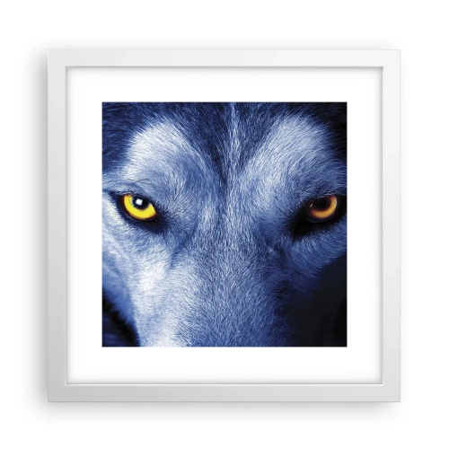 Affisch i vit ram - Hypnotiserade titt - 30x30 cm