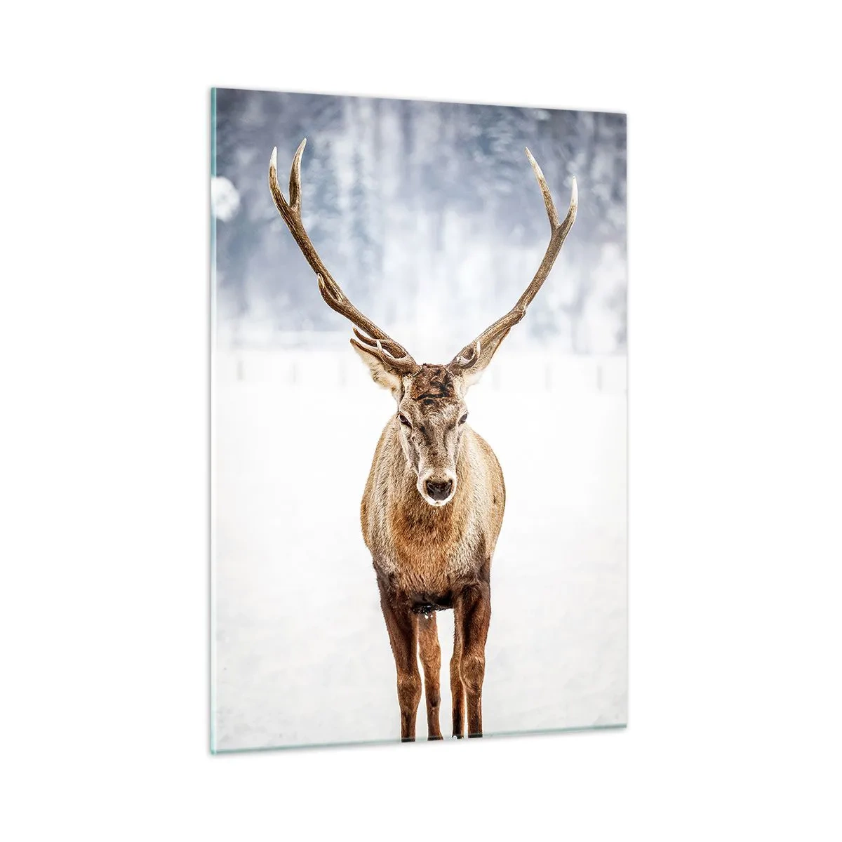 Glastavla - Bild på glas - Rakt från snödimman - 50x70 cm