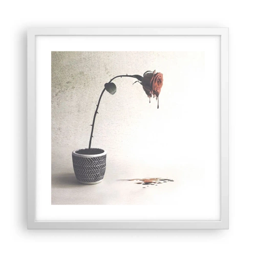 Affisch i vit ram - Rosa dolorosa - 40x40 cm