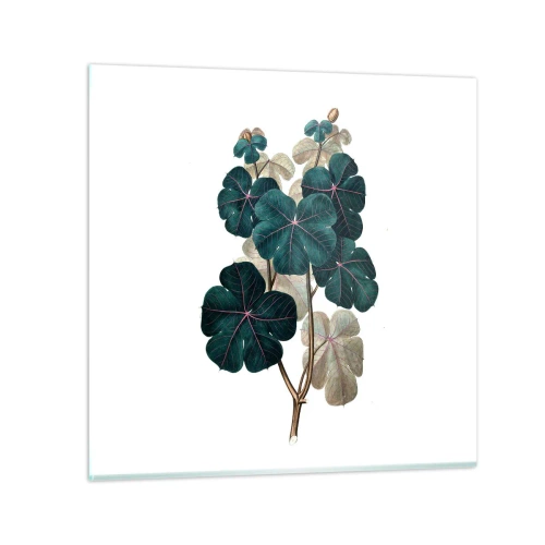 Glastavla - Bild på glas - Från ett gammalt herbarium - 30x30 cm