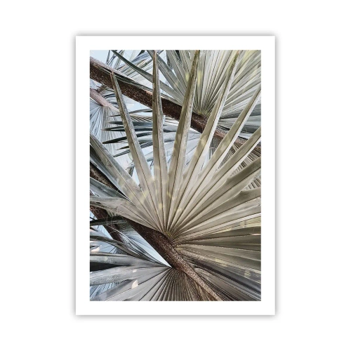 Affisch - Solfjädrarna i tropikerna - 50x70 cm