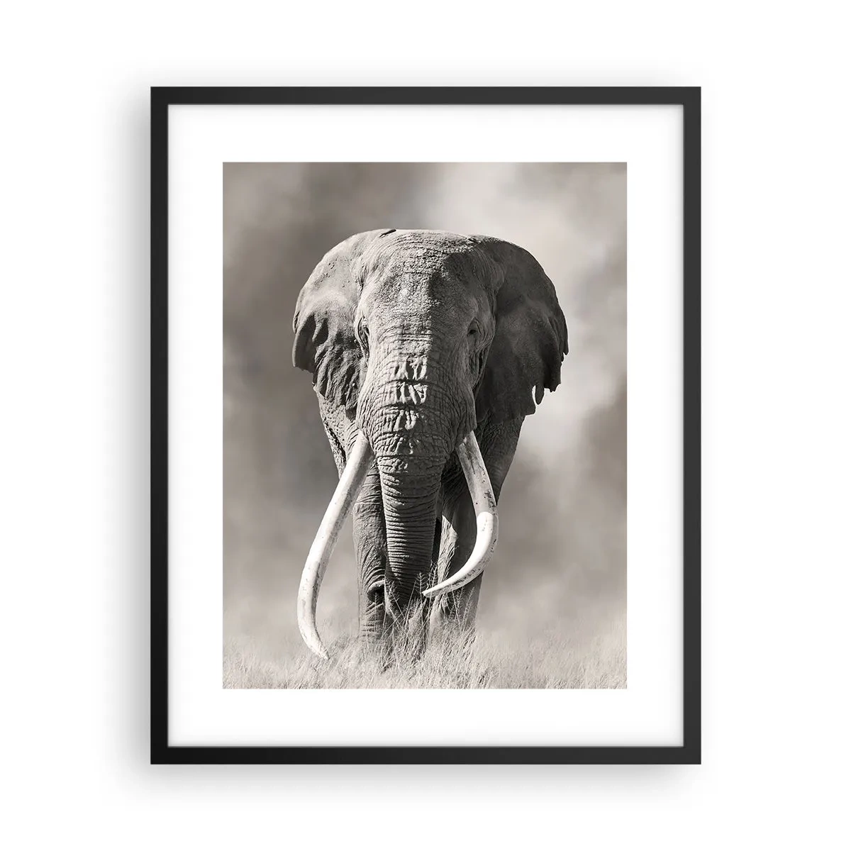 Affisch i svart ram - Afrikansk patriark - 40x50 cm