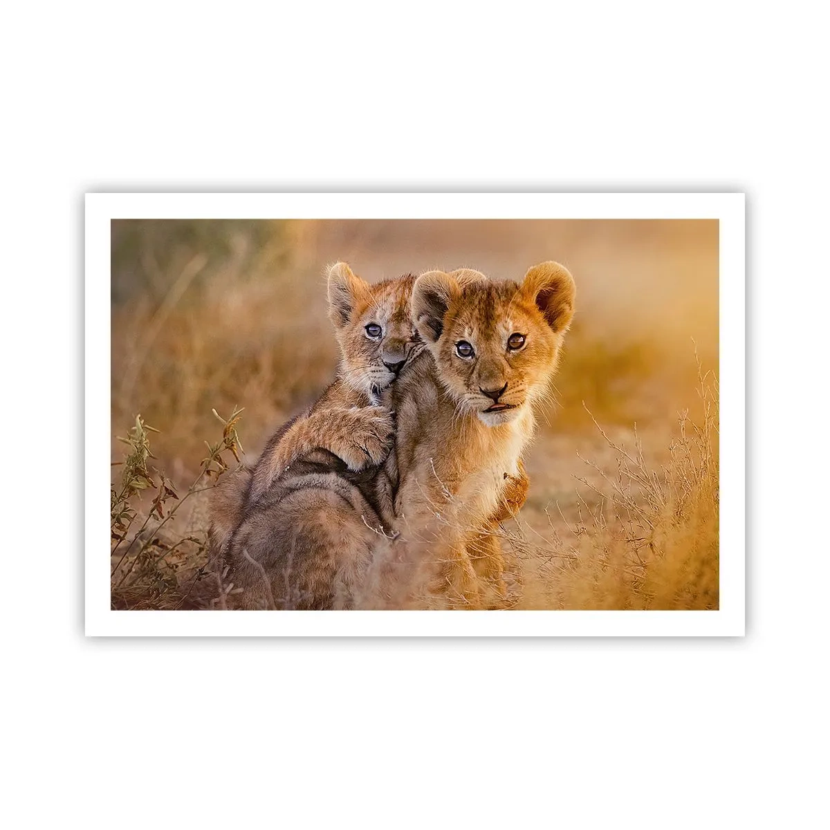 Affisch - Stör inte! Vi har kul - 91x61 cm