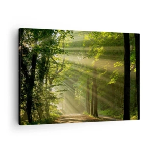 Canvastavla - Bild på duk - Skogsstig med solstrålar som skiner genom träden - 70x50cm - En stund i skogen - Modern väggdekoration för vardagsrum och sovrum ARTTOR