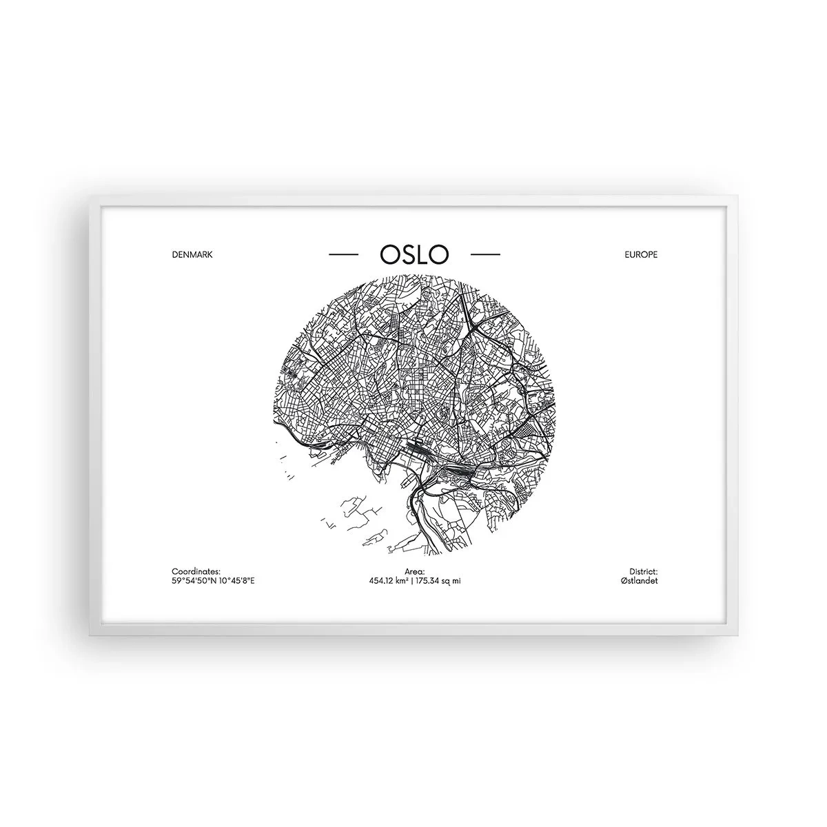 Affisch i vit ram - Oslos anatomi - 91x61 cm