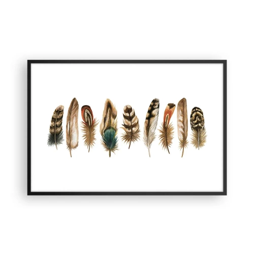 Affisch i svart ram - Fjädervariation - 91x61 cm