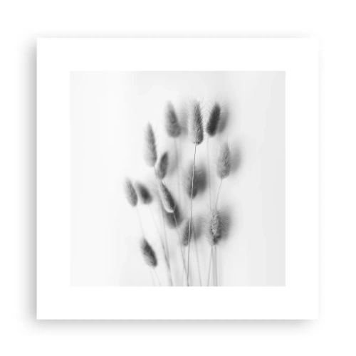 Affisch - Fluffigt gräs - 30x30 cm