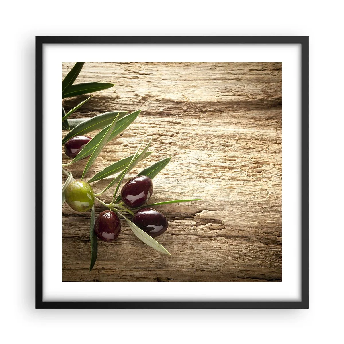 Affisch i svart ram - Direkt från naturen - 50x50 cm