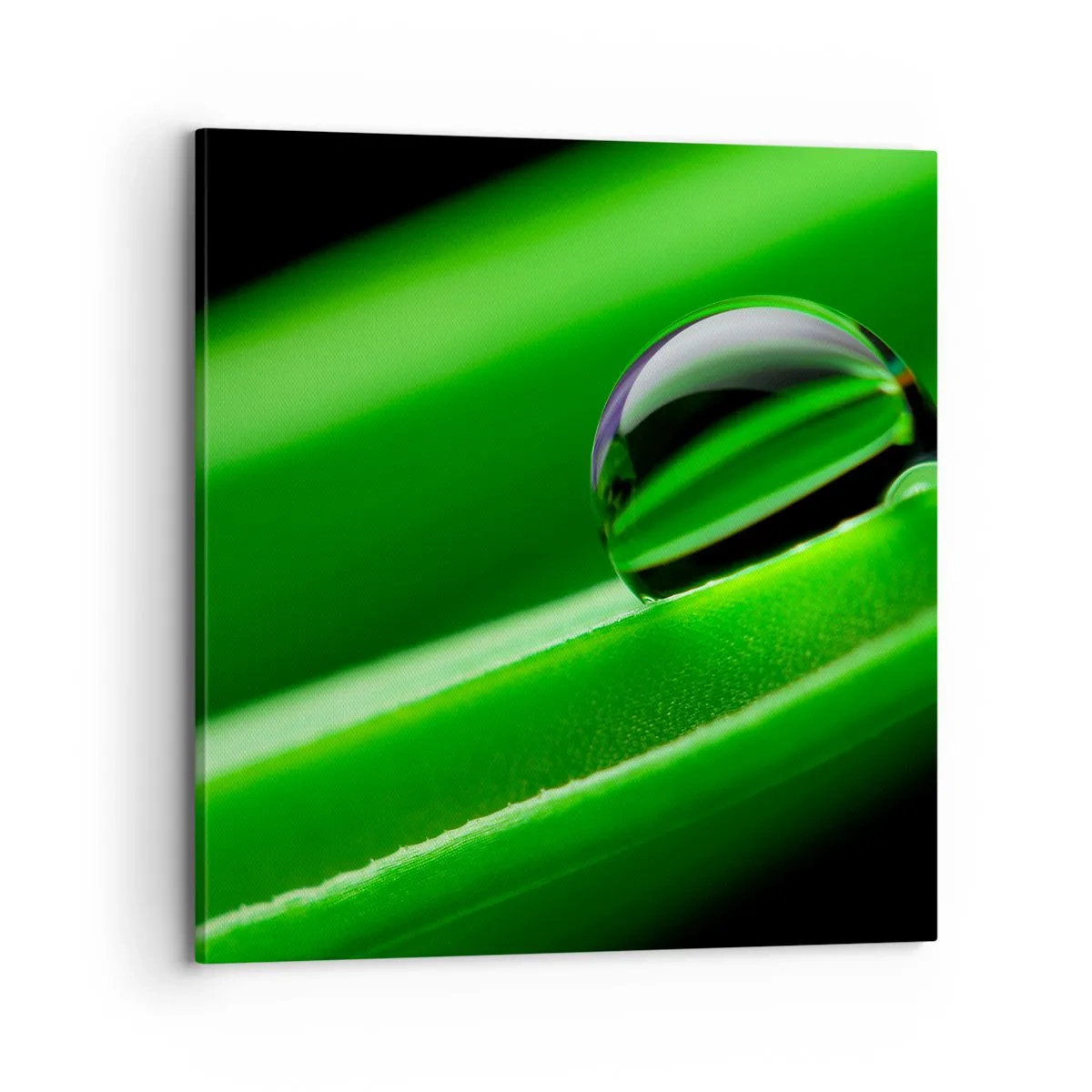 Canvastavla - Bild på duk - Livet på nära håll - 70x70 cm