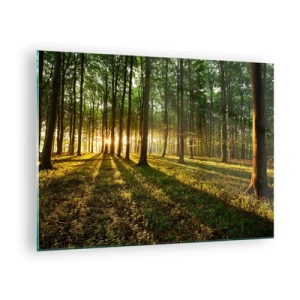 Glastavla - Bild på glas - En skogsglänta upplyst av den uppgående solens strålar - 70x50cm - Fotografi av alla vårar - Modern väggdekoration för vardagsrum och sovrum ARTTOR