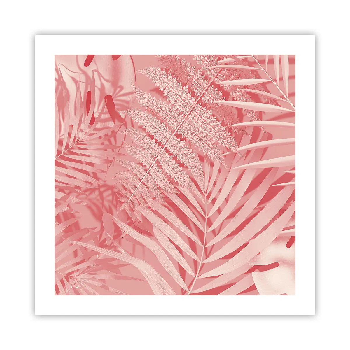 Affisch - Rosa koncept - 50x50 cm