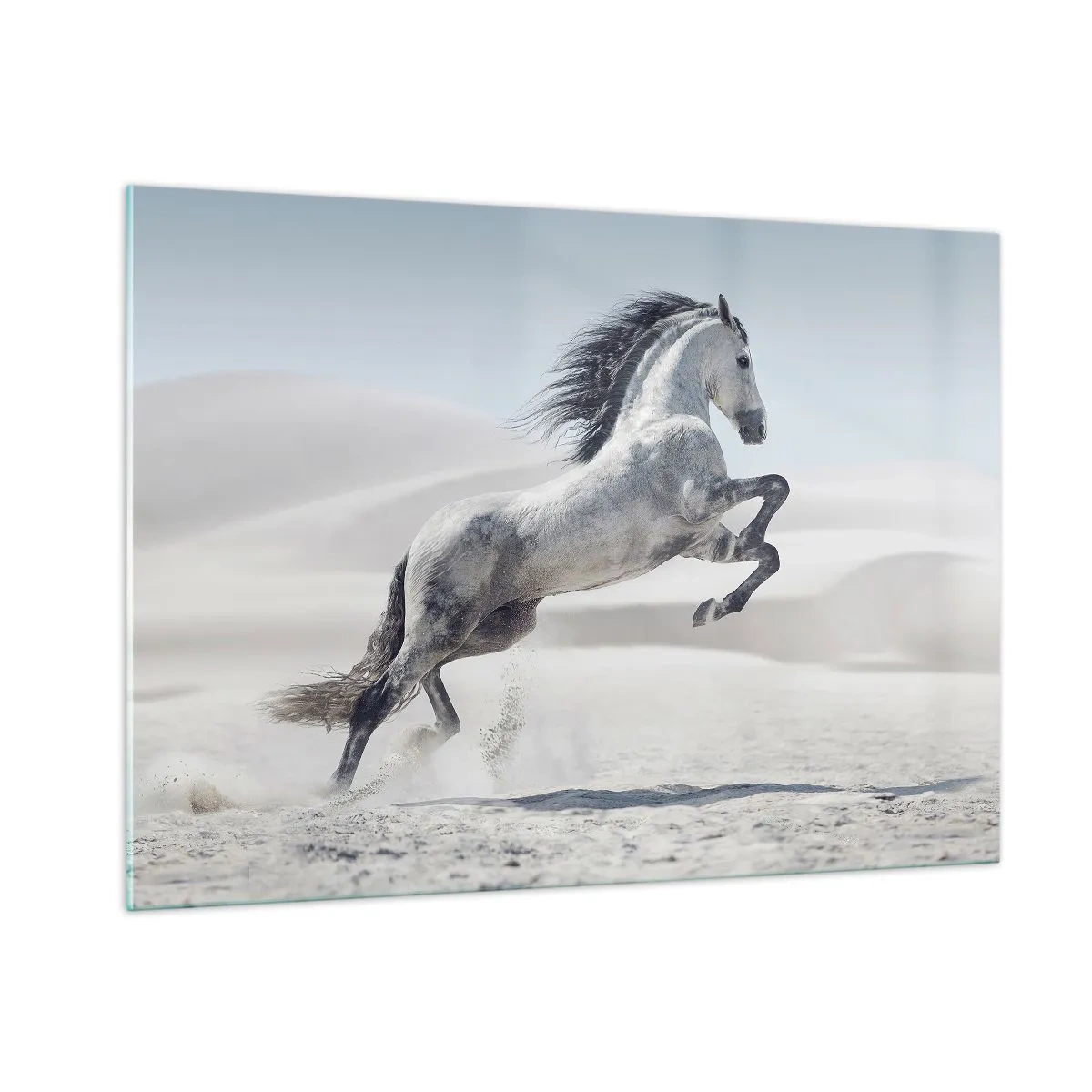 Glastavla - Bild på glas - Arabisk prins - 100x70 cm