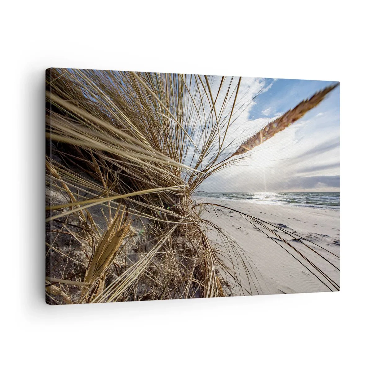 Canvastavla - Bild på duk - En strand med torrt gräs på sanddynerna och utsikt över havet - 70x50cm - Elementens möte - Modern väggdekoration för vardagsrum och sovrum ARTTOR