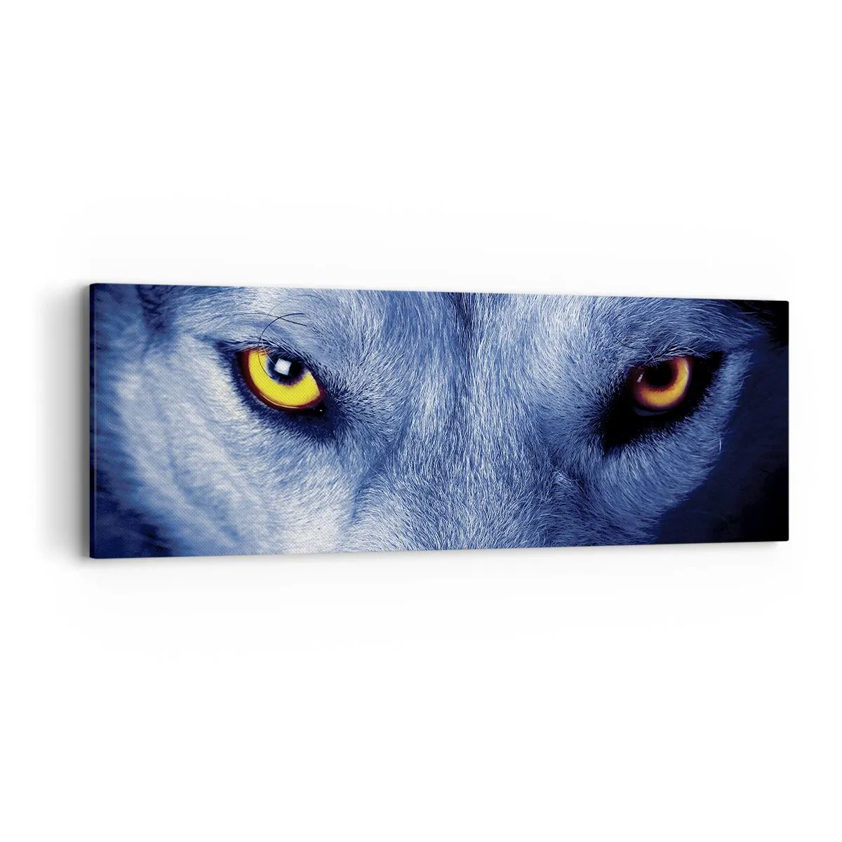 Canvastavla - Bild på duk - Hypnotiserade titt - 90x30 cm