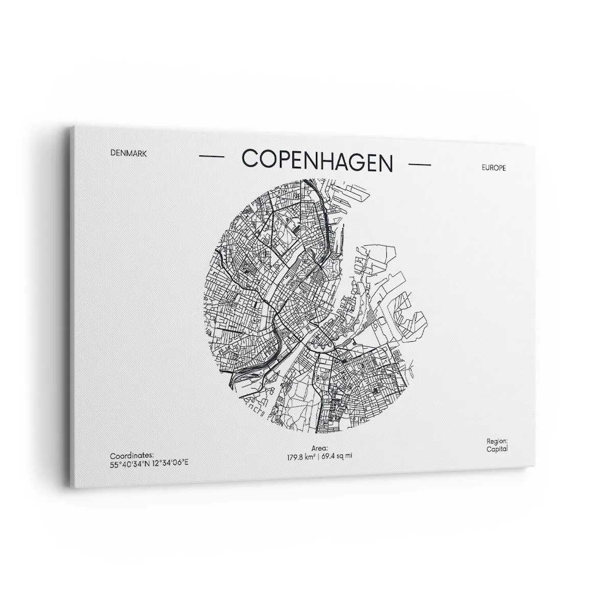 Canvastavla - Bild på duk - Köpenhamns anatomi - 120x80 cm