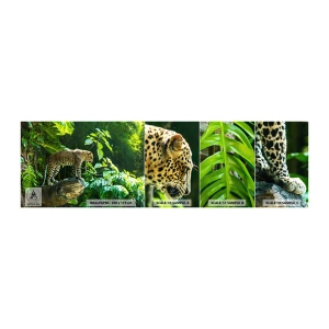 Fototapet Prov Standard Eco - På jakt? - Djungel, leopard, Tropikerna - 100x30 cm