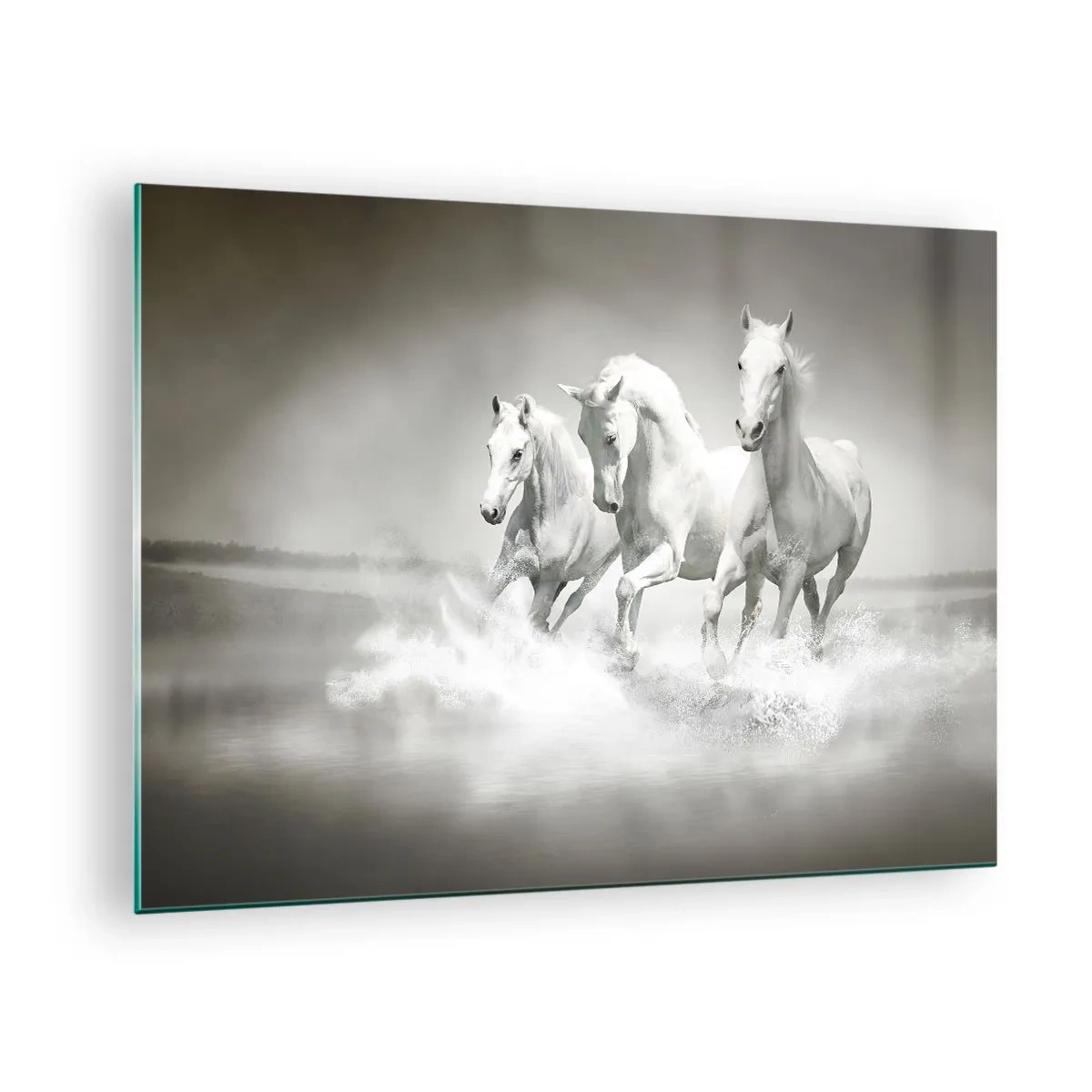 Glastavla - Bild på glas - Tre vita hästar galopperar genom vattnet - 70x50cm - Vit vildhet - Modern väggdekoration för vardagsrum och sovrum ARTTOR