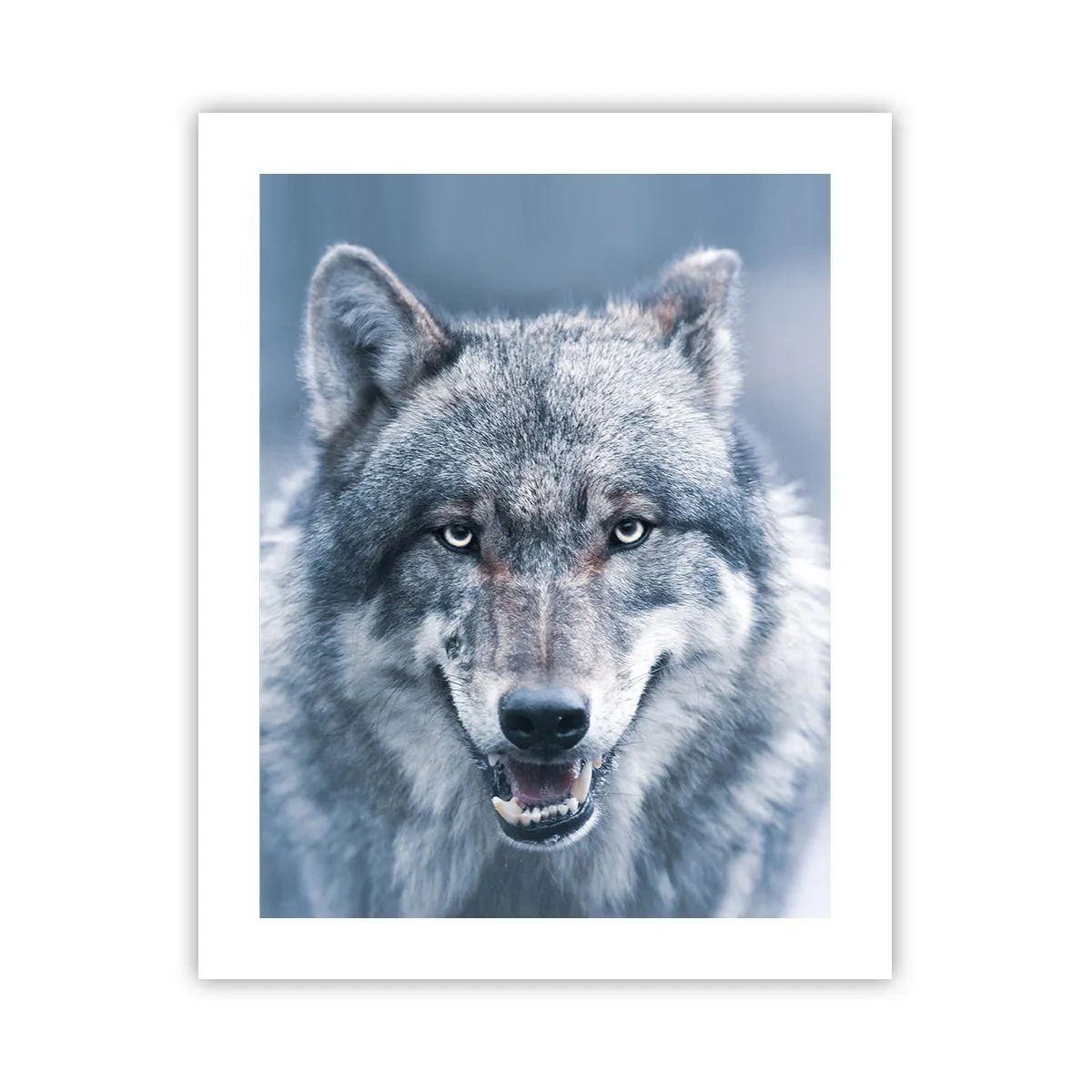 Affisch - Tar du utmaningen? - 40x50 cm