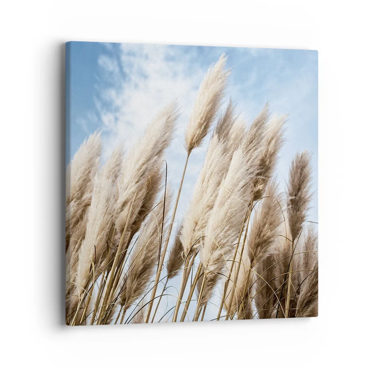 Canvastavla - Bild på duk - Solig och blåsig smekning - 40x40 cm
